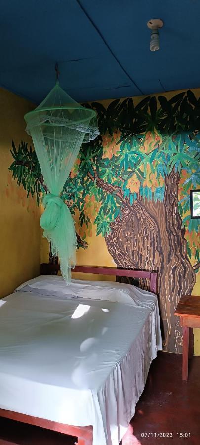 Hostel La Gloria Ometepe エクステリア 写真