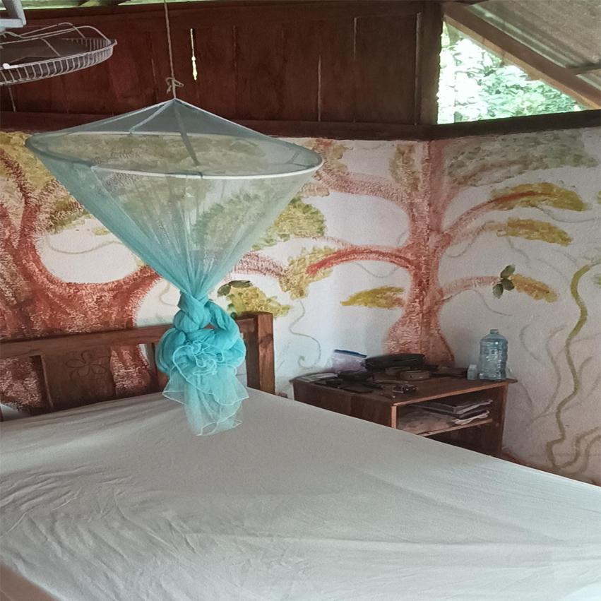 Hostel La Gloria Ometepe エクステリア 写真