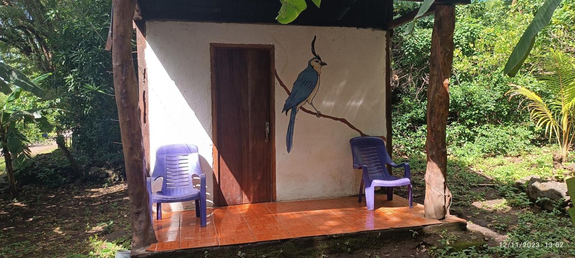 Hostel La Gloria Ometepe エクステリア 写真