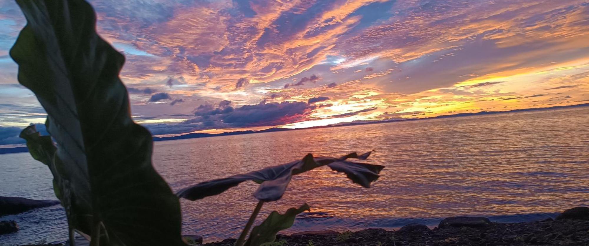 Hostel La Gloria Ometepe エクステリア 写真