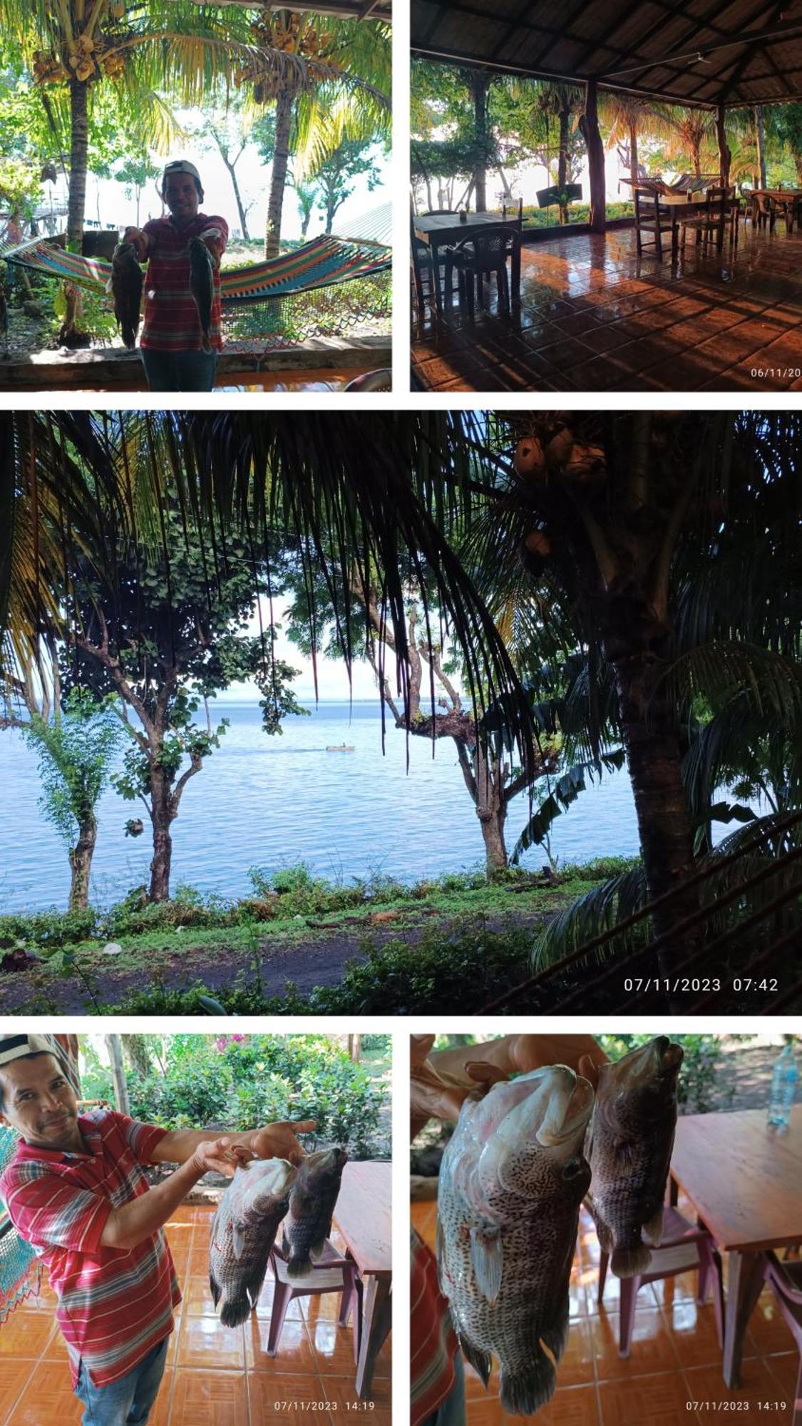 Hostel La Gloria Ometepe エクステリア 写真