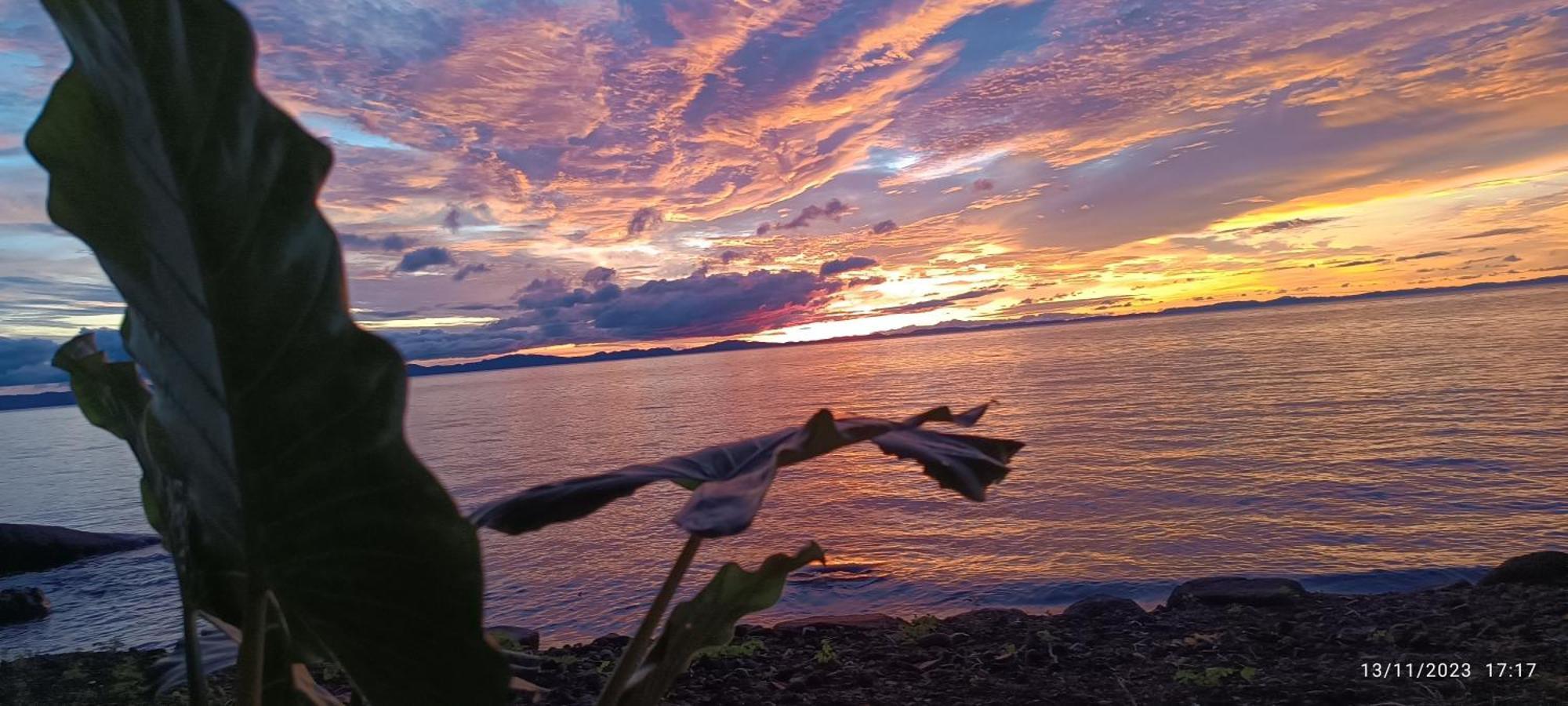 Hostel La Gloria Ometepe エクステリア 写真