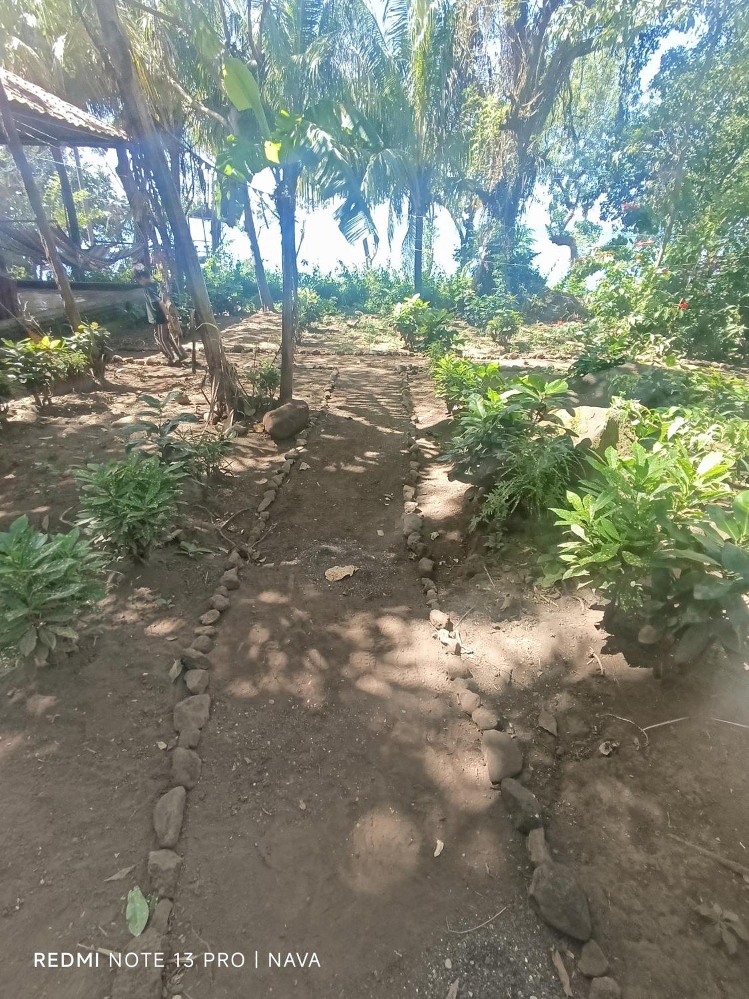 Hostel La Gloria Ometepe エクステリア 写真